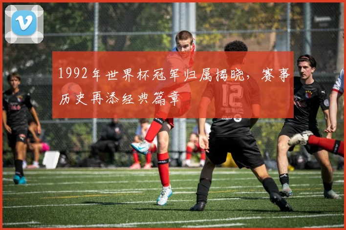 1992年世界杯冠军归属揭晓,赛事历史再添经典篇章